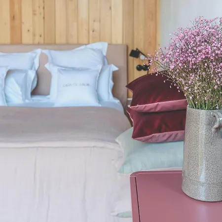 Casa Do Arco By Douro Exclusive Bed & Breakfast Sao Cristovao do Douro