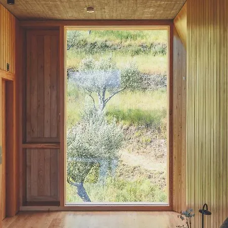 Bed & Breakfast Casa Do Arco By Douro Exclusive
