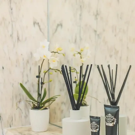 Alojamento de Acomodação e Pequeno-almoço Casa Do Arco By Douro Exclusive