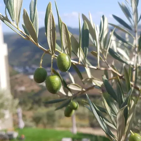 Casa Do Arco By Douro Exclusive Sao Cristovao do Douro