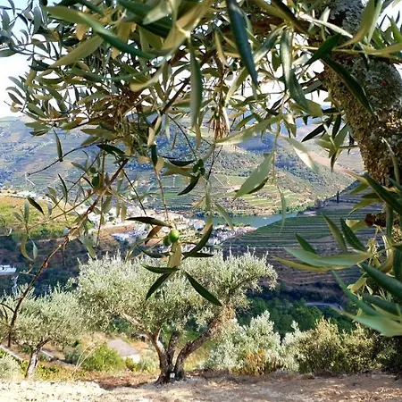 Casa Do Arco By Douro Exclusive Bed and breakfast Sao Cristovao do Douro
