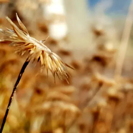 Bed and breakfast Casa Do Arco By Douro Exclusive Sao Cristovao do Douro