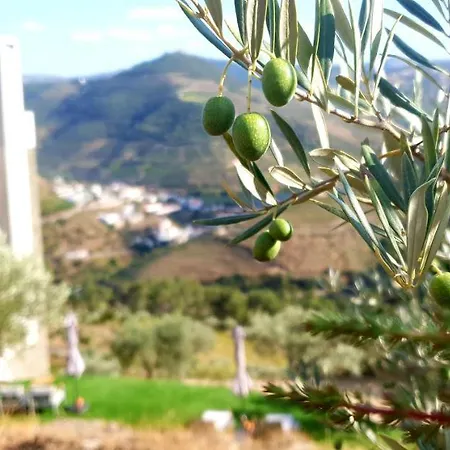 Bed and breakfast Casa Do Arco By Douro Exclusive