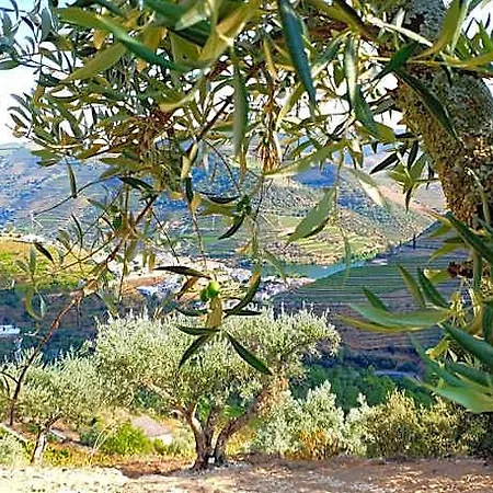 Bed and Breakfast Casa Do Arco By Douro Exclusive Sao Cristovao do Douro