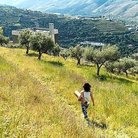 Casa Do Arco By Douro Exclusive Bed and Breakfast 4*