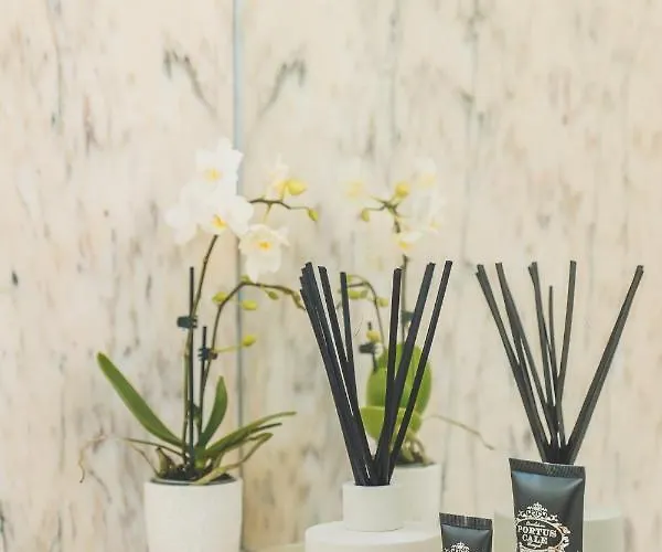 Bed and Breakfast Casa Do Arco By Douro Exclusive