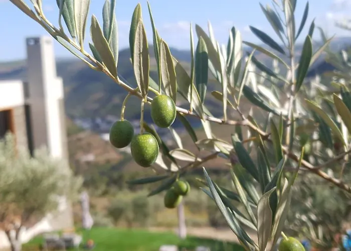 Casa Do Arco By Douro Exclusive Sao Cristovao do Douro