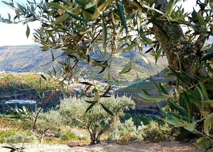 Casa Do Arco By Douro Exclusive Bed & Breakfast Sao Cristovao do Douro