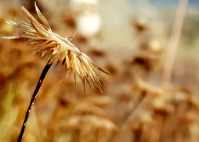 Bed & Breakfast Casa Do Arco By Douro Exclusive Sao Cristovao do Douro