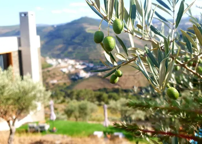 Bed & Breakfast Casa Do Arco By Douro Exclusive