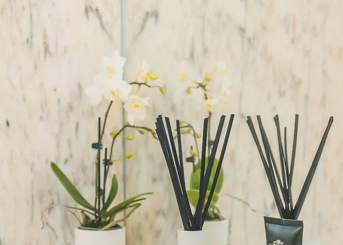 Bed & Breakfast Casa Do Arco By Douro Exclusive Sao Cristovao do Douro